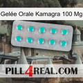 Gelée Orale Kamagra 100 Mg 28